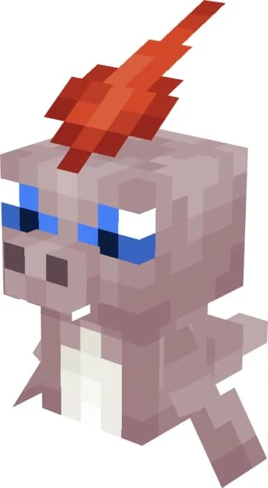 Этап обучения букамона