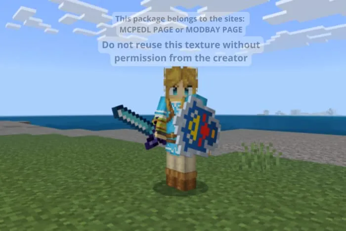 Новый вид щита на игроке