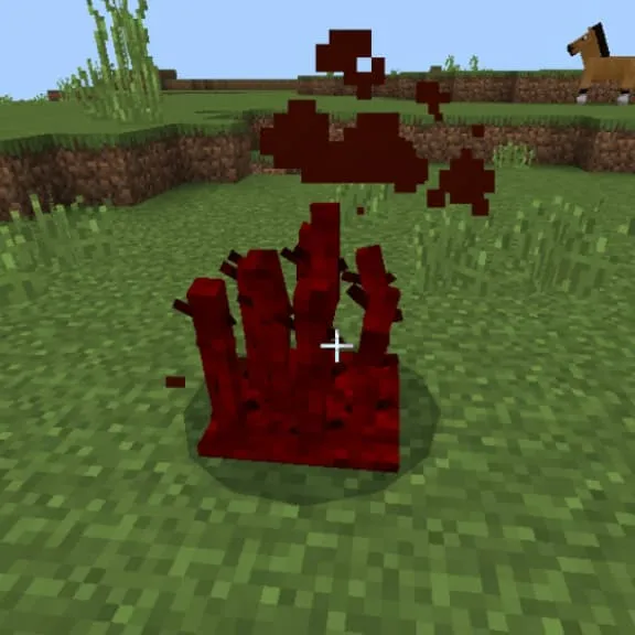 Блок: Зараженный усик