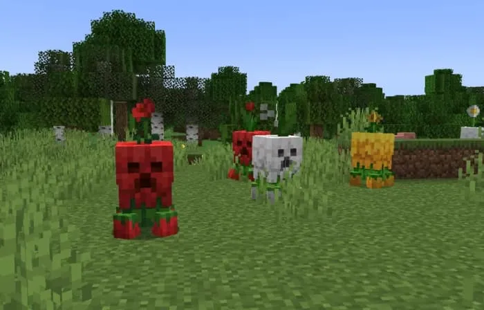 Цветочные криперы на равнине