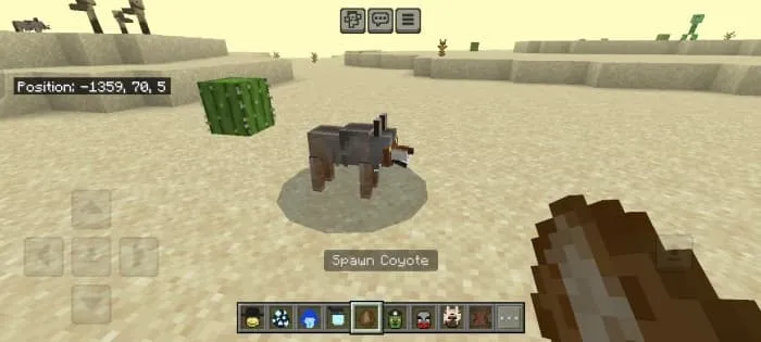 Животное: Койот