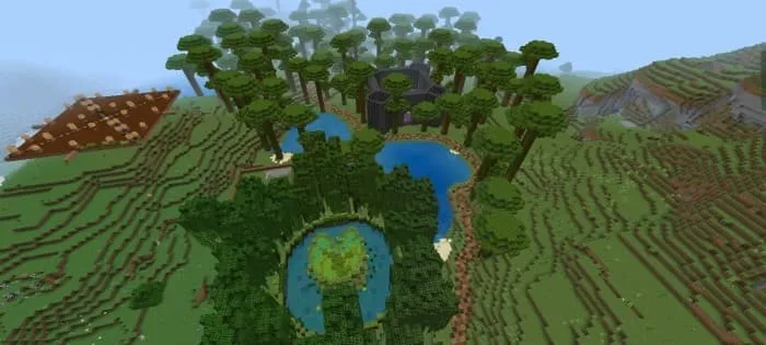 Озеро у леса