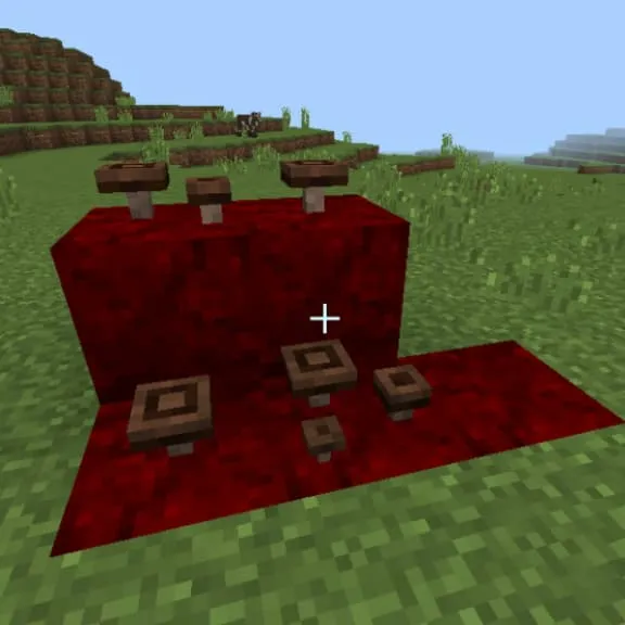 Блок: Зараженный грибок