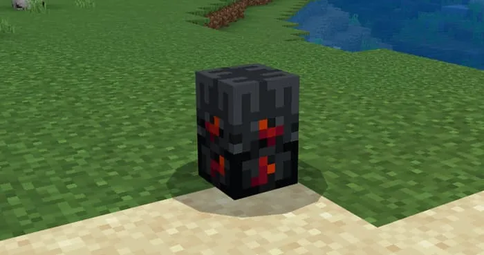 Блок яйца Филолиала