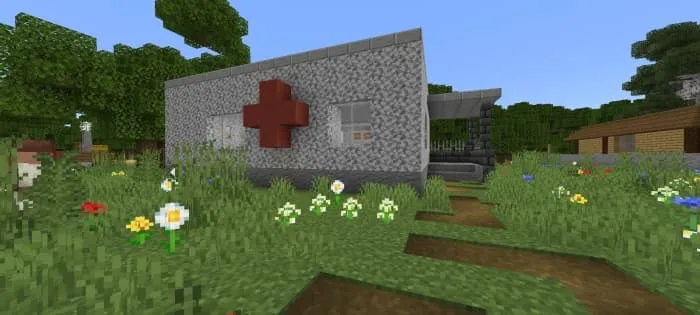 Деревенская больница