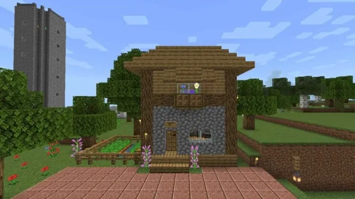 Вид на главный дом