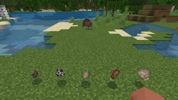 Яйцо и мясо индюков