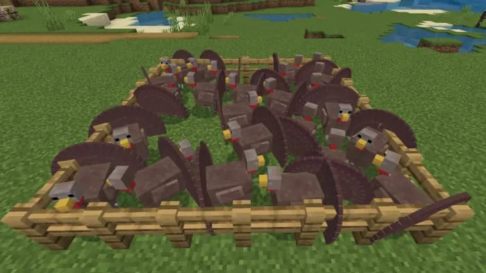 Индейки в загоне