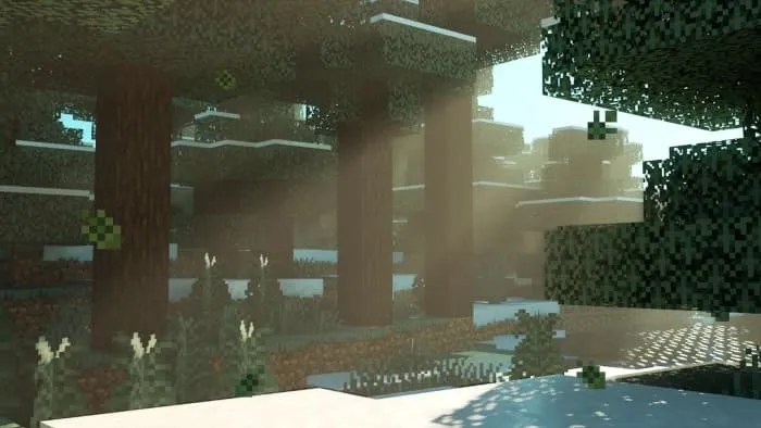 Падающие еловые листья