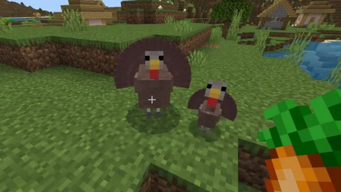 Приручение индюков