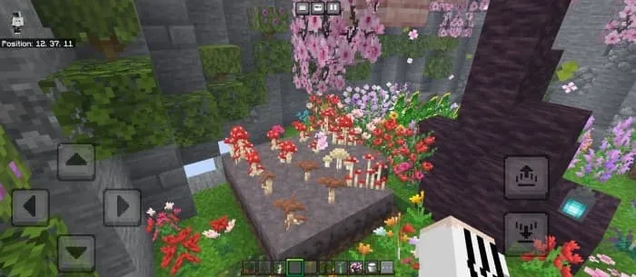 Улучшенный вид грибов