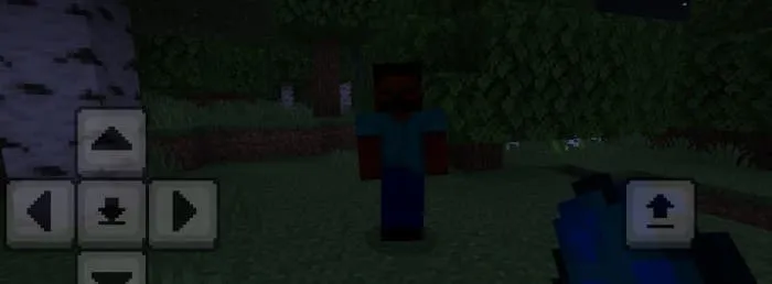 Монстр: Трансплантатор