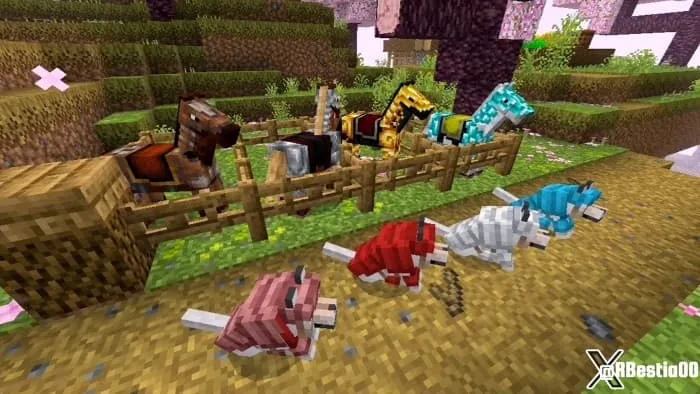 Новый вид брони для собак