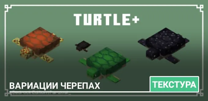 Текстуры: Вариации черепах