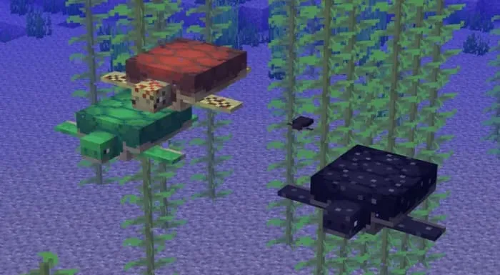 Вариации черепах