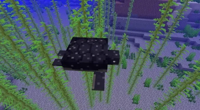 Тёмная черепаха с пятнышками