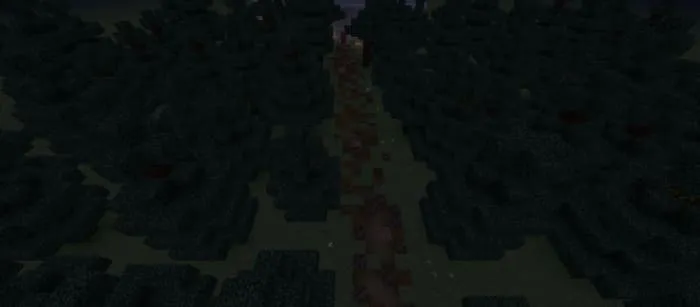 Дорога через лес