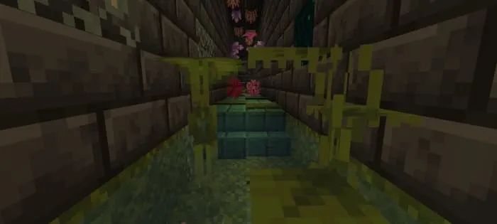 Комната с растительностью