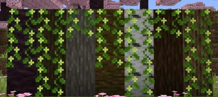 Новый вид лиан с цветами