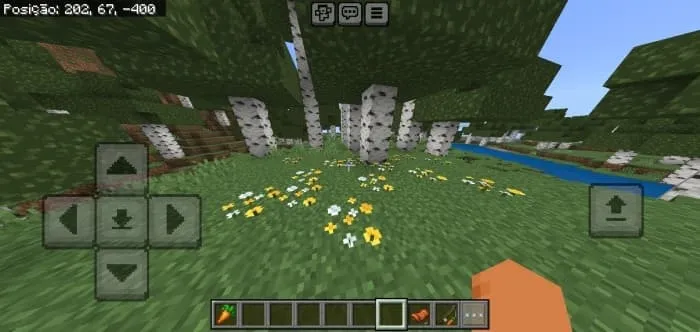 Полевые цветы на земле