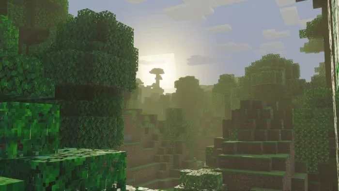 Освещение в лесу