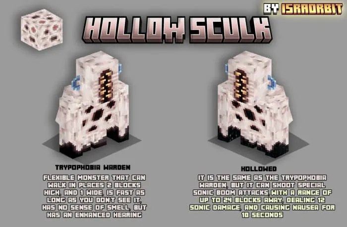 Описание полого стража