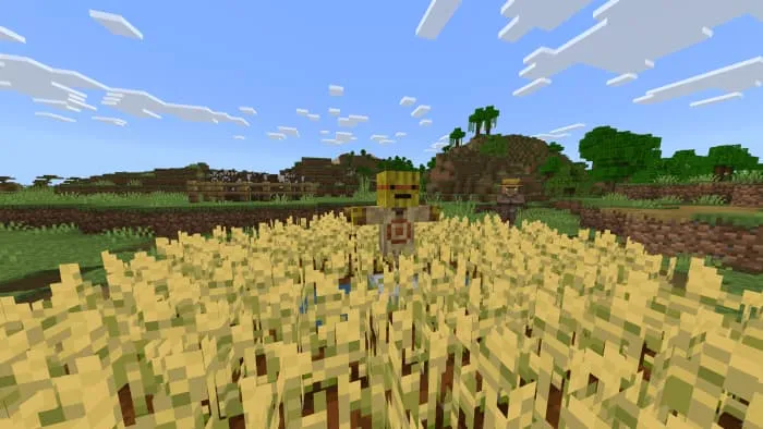 Манекен на пшеничном поле