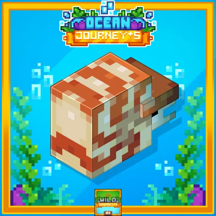 Внешний вид наутилуса