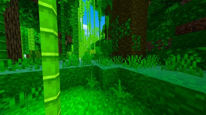 Насыщенный тропический лес с бамбуком