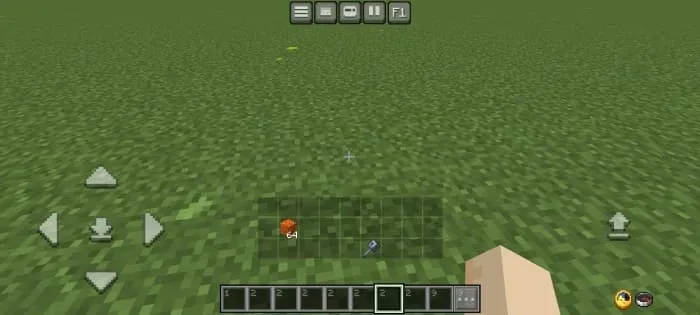 Новый вид инвентаря