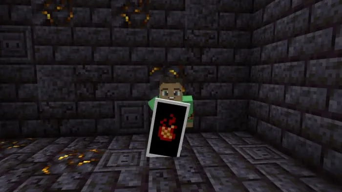 Щит с огнём