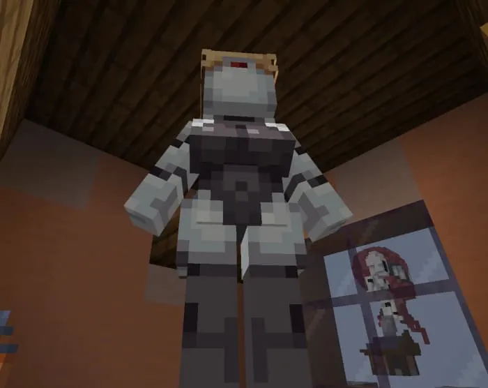 Одна модель сестринских роботов в доме игрока