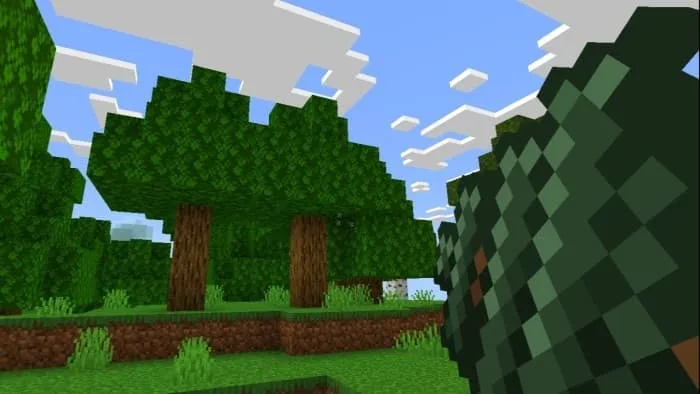 Зеленый лук в руке