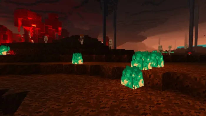 Минималистичный вид Незера