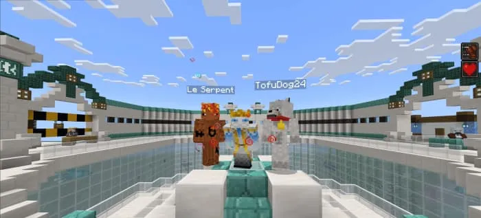 Игроки на арене