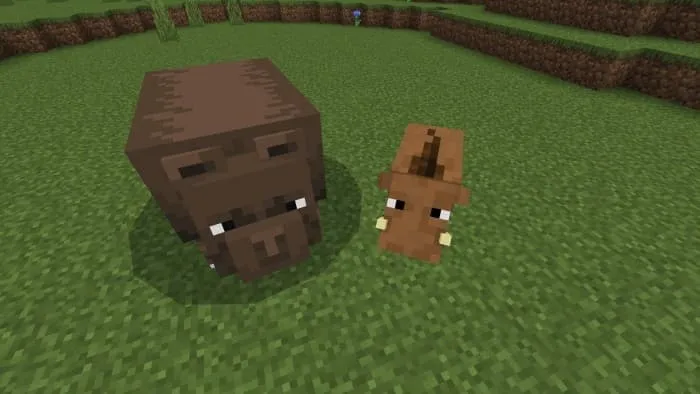 Бурый медведь и дикий кабан