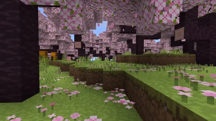 Текстуры вишневой рощи