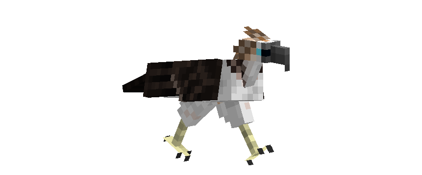 Белая птица с темными крыльями и пятнистым хохолком