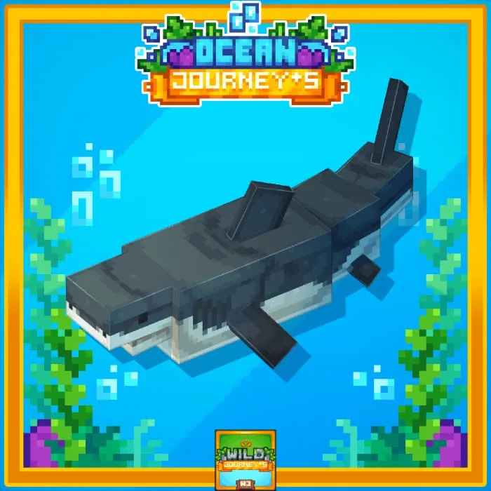 Акула в рамке