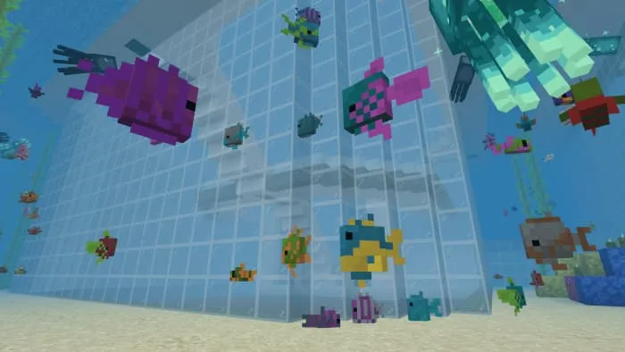 Рыбы плавают вокруг арены