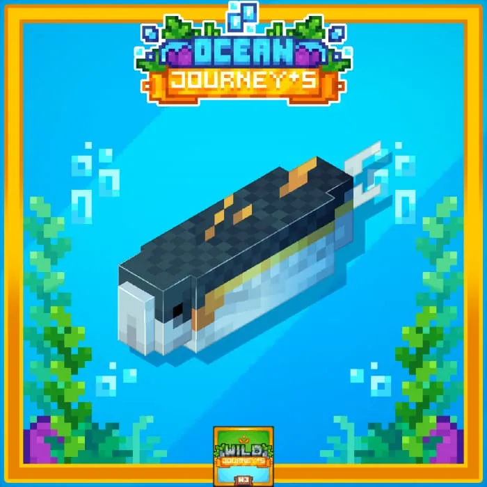 Тунец в рамке