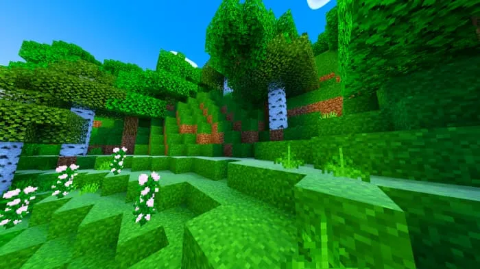 Берёзовая роща и цветочная поляна