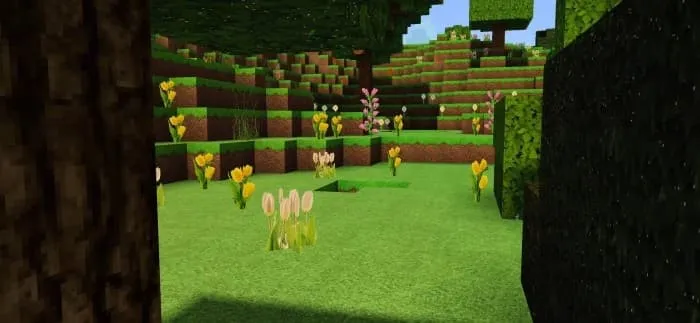 Цветочная поляна в лесу