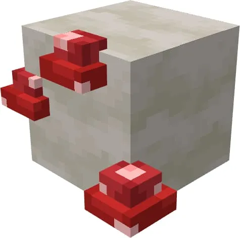 Мухоморы на грибном блоке