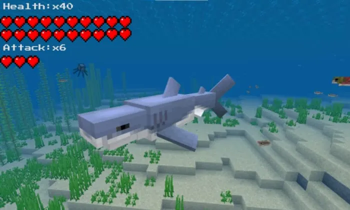 Акула плывет в океане