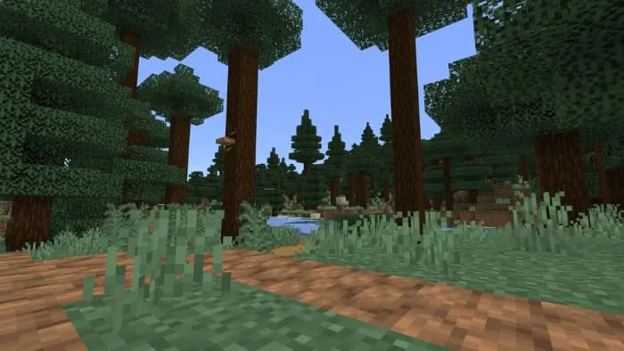 Обновленная тайга