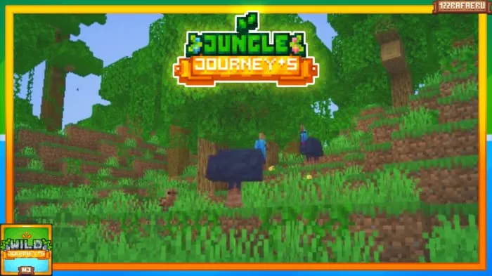 Казуар взрослый