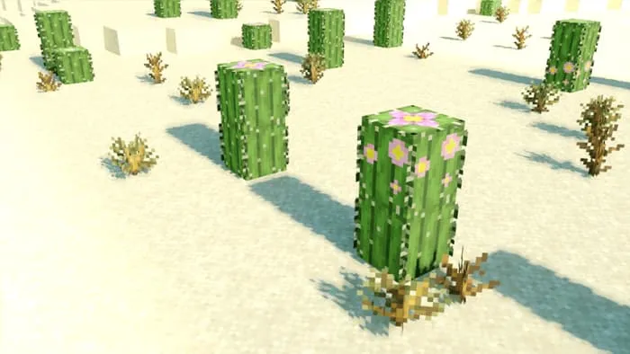 Детализированные кактусы и мертвые кусты