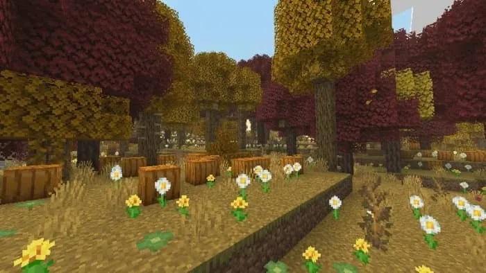 Биом осеннего леса с тыквами