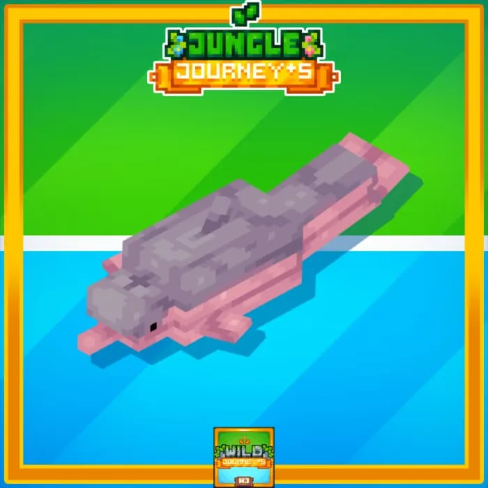 Дельфин реки Амазонки